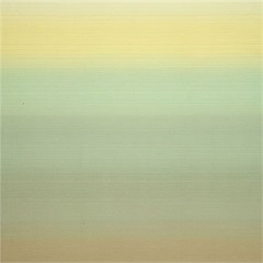 RX 8001 Privacy Curtain Fabric